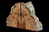 Arizona Petrified Wood Bookends - Red And Orange #117226-2